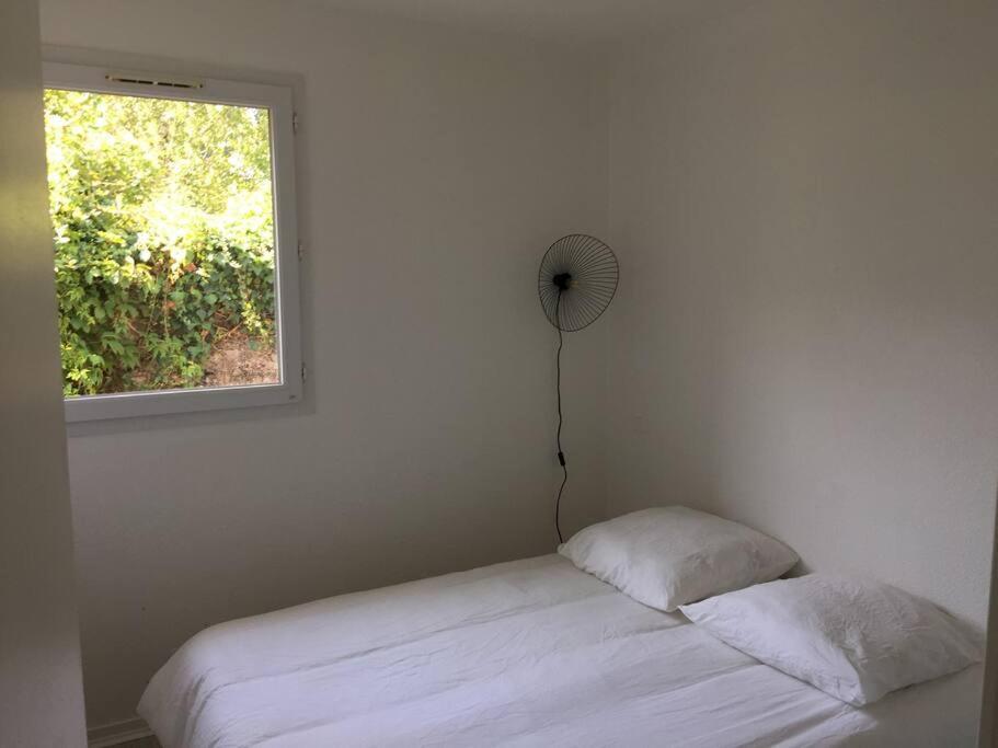 T3 En Duplex Avec Grande Piscine Leilighet Anglet Eksteriør bilde